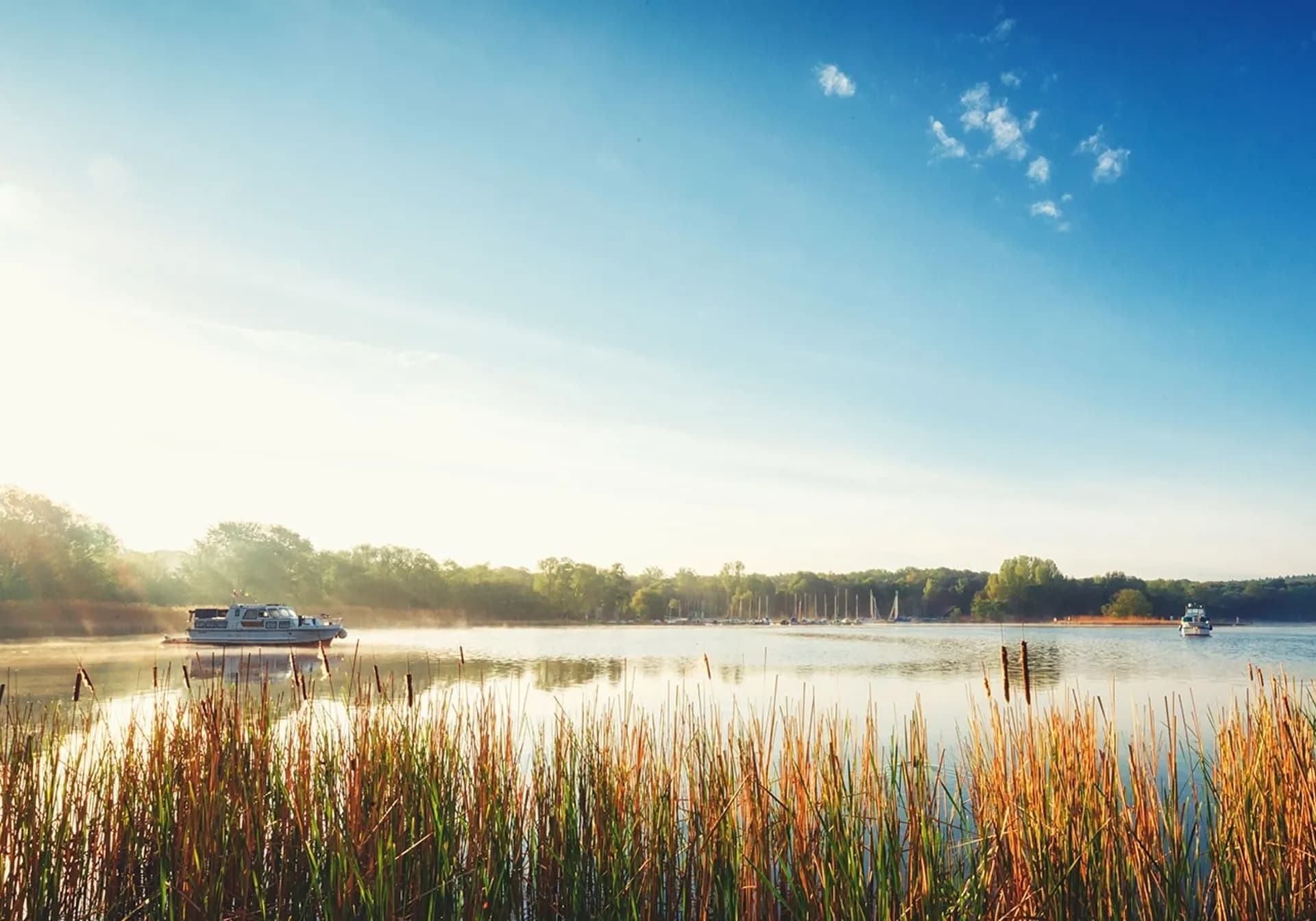 Båd sejler i en flod