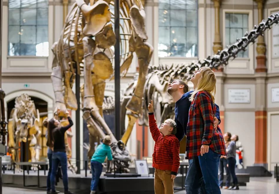 Familie på museum kigger på skelet af dinosaur