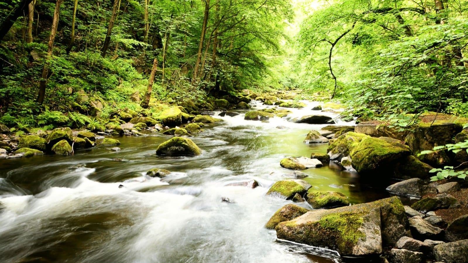 Harzen water creek
